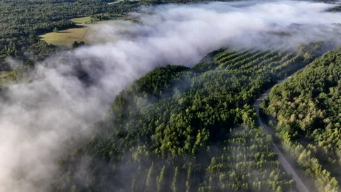 Fog over forest and fields in countryside village. Rural landscape morning fog Video stock 252030090