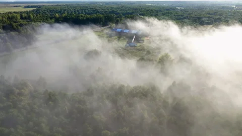 Fog over forest and fields in countryside village. Rural landscape morning fog Stock Footage 252030880
