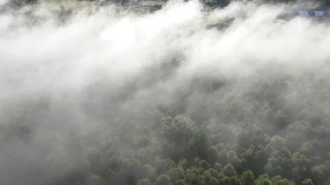 Fog over forest and fields in countryside village. Rural landscape morning fog Video stock 252031481