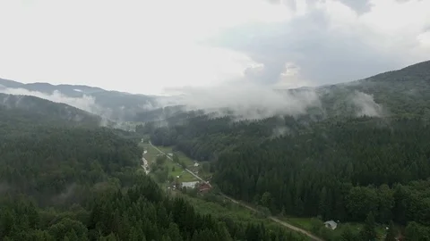 Fog Over the Forest Stock Footage 70616601