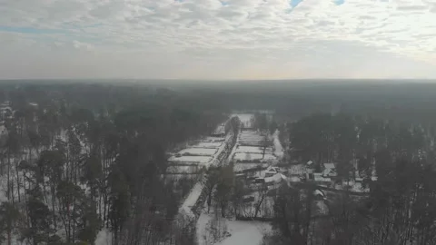 Fog Over The Forest Stock Footage 147450785