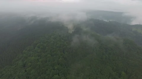 Fog over the forest in the mountains. aerial footage Stock Footage 68200021