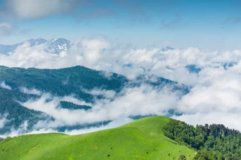 Fog over the forest in the mountains. Stock Footage 52574780