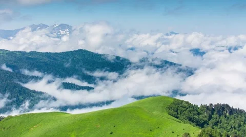 Fog over the forest in the mountains. 스톡 동영상 52574849