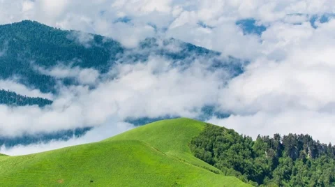 Fog over the forest in the mountains. Video stock 52574947