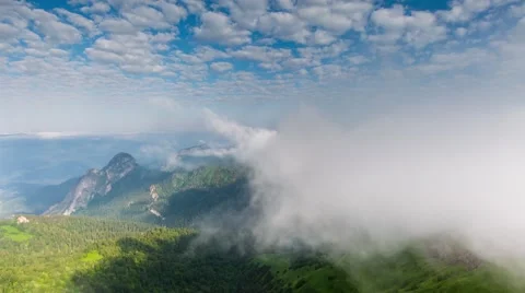 Fog over the forest in the mountains. 動画素材 52581299
