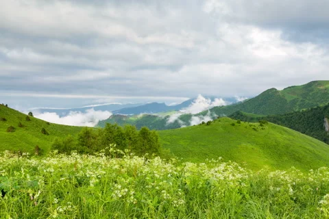Fog over the forest in the mountains. 스톡 동영상 52583652