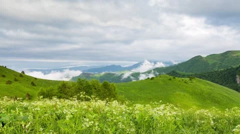 Fog over the forest in the mountains. Stock-Footage 52583715