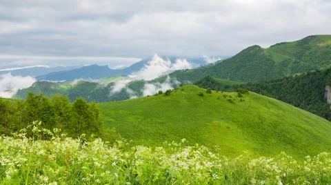 Fog over the forest in the mountains. 스톡 동영상 52583790