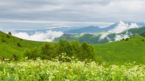 Fog over the forest in the mountains. Stock Footage 52583854