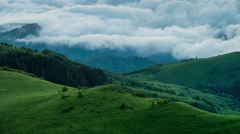 Fog over the forest in the mountains. Video stock 52584885