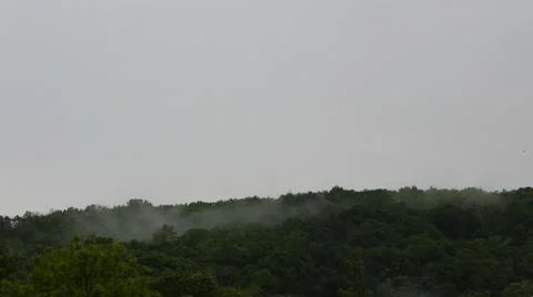 Fog over the forest under a gray sky Stock Photos