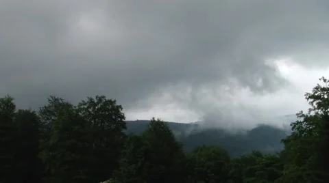 Fog over the Forests Stock Footage 46114068