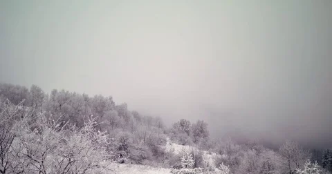 Fog over the forrest in the mountain Stock Footage 83080757