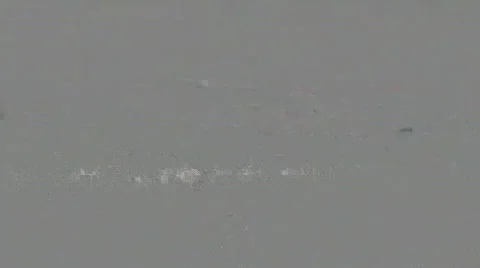 Fog over Hills 4 Video stock 796848