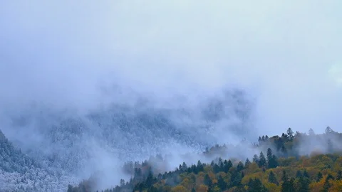 Fog over hills Stock Footage 87286766