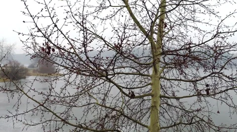 Fog over the lake Stock Footage 35342894