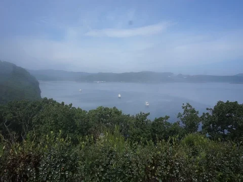 Fog over the lake Vídeo Stock 88719811