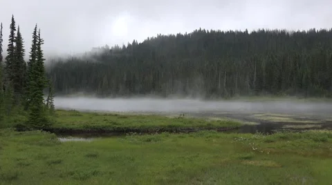 Fog over lake at Mount Rainier Stock Footage 52798477