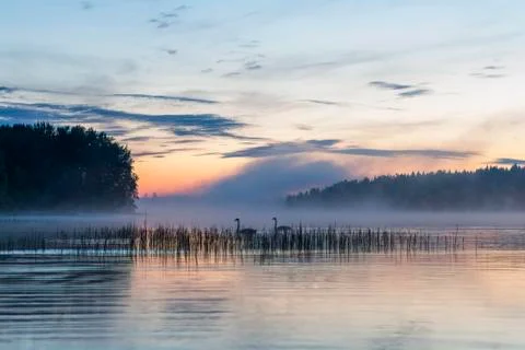 Fog over a lake Stock Photos