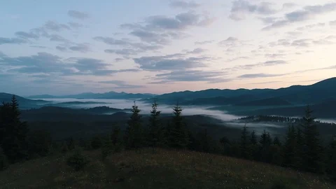 Fog over the mountain forest Stock Footage 118626752