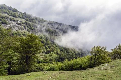 Fog over the mountain Stock Photos