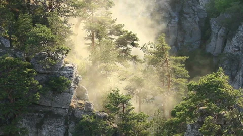 Fog over mountain woods. Stock Footage 55725266