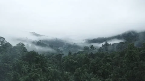 Fog over the mountains before dawn Stock Footage 141184278