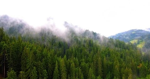 Fog over the mountains Stock Footage 123208485