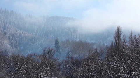 Fog over mountain's forest in winter time Stock Footage 56756959