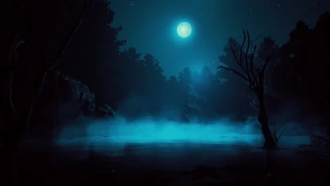 Fog over night lake Video stock 196146514