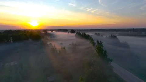 Fog over over the forest and the road and the trees in rural areas Video stock 112687832
