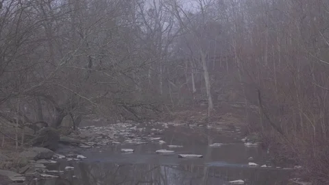 Fog over park stream Stock Footage 76327039