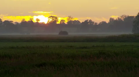 Fog over pasture at sunset Stock Footage 66561271