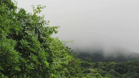Fog over the peak in the morning Stock Footage 133719406