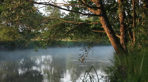Fog over the river at dawn 스톡 동영상 64096944