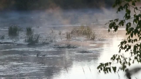 Fog over the river Stock Footage 77747076