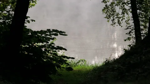 Fog over the river 스톡 동영상 149901366
