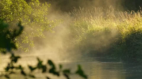 Fog over the river Stock Footage 247970662