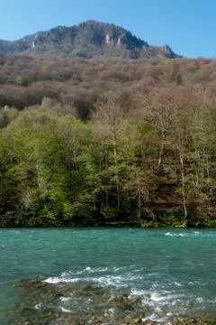Fog over river in a forest in spring 写真素材
