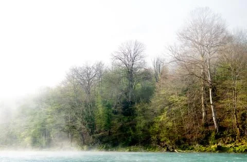 Fog over river in a forest in spring 写真素材
