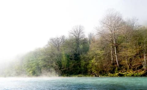 Fog over river in a forest in spring Photos