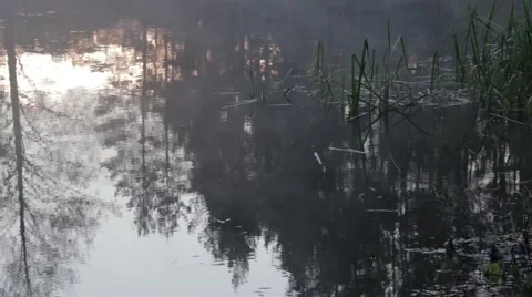 Fog over the river in the morning at spring. Reflections in water Stock Footage 66003504
