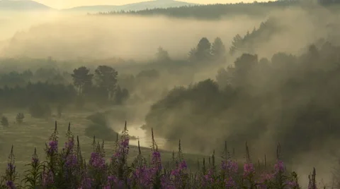 Fog Over River in Mountains at Dawn. Panorama Landscape. Video stock 68998212