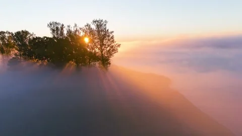 Fog over the river, trees, sunrise 스톡 동영상 211786300