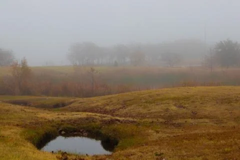 Fog over a small pond Stock Photos