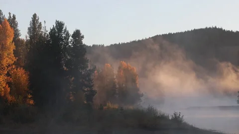 Fog Over the Snake River at Dawn in Autumn in Grand Teton National Park Stockbeeldmateriaal 320801444