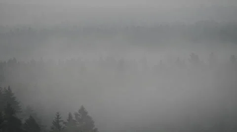 Fog over the valley Stock Footage 60660272