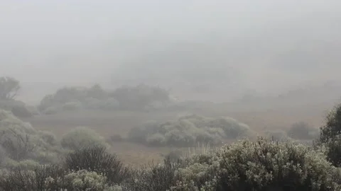 Fog over the valley Video stock 107276650