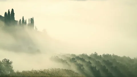 Fog Over the Vineyard in Tuscany 動画素材 106457016